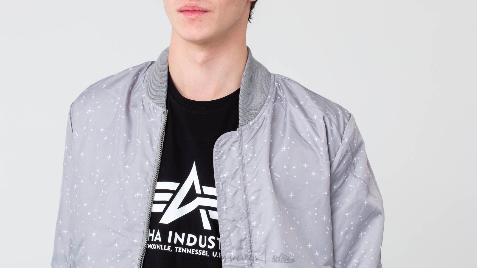 Bomber Jackets Alpha Industries MA-1 TT NASA Reversible II Silver