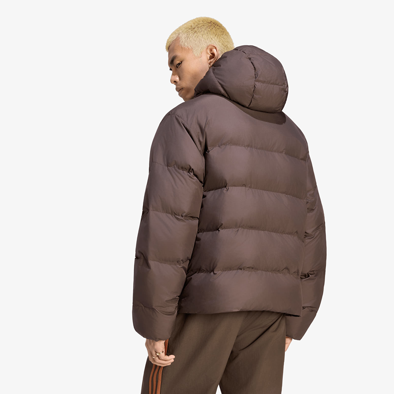 Geci adidas Hooded Regen Jacket Aurora Coffee