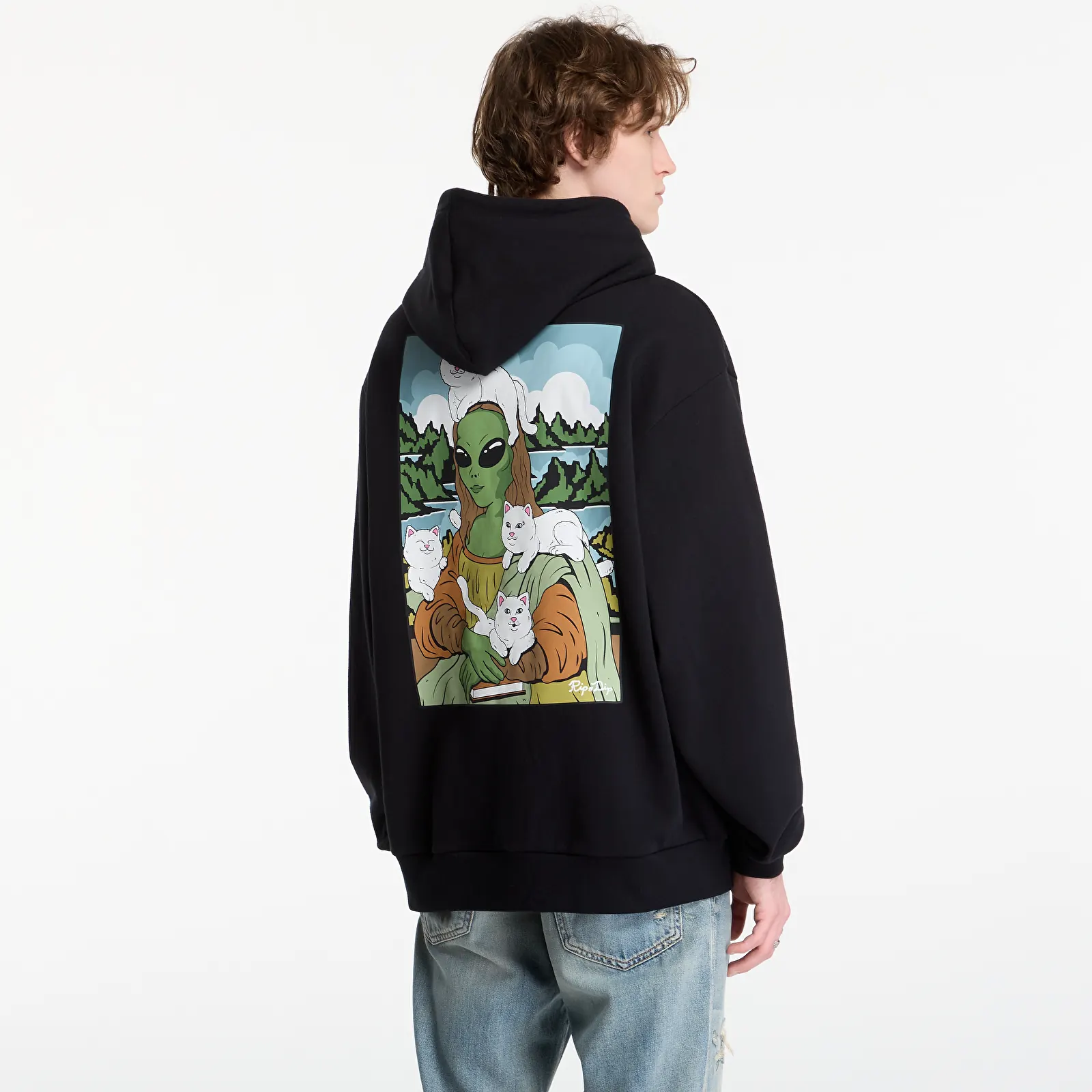 Hoodies en truien RIPNDIP Here All Along Hoodie Black