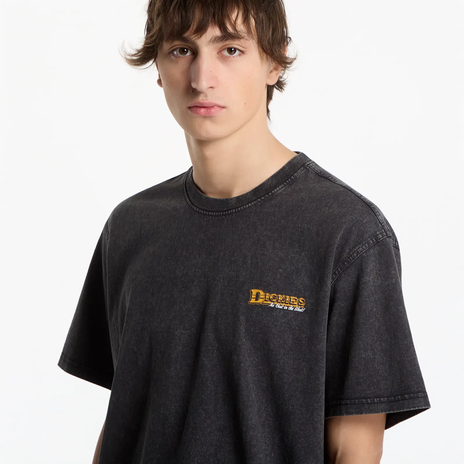 T-paidat Dickies Gainesville SS Tee Black