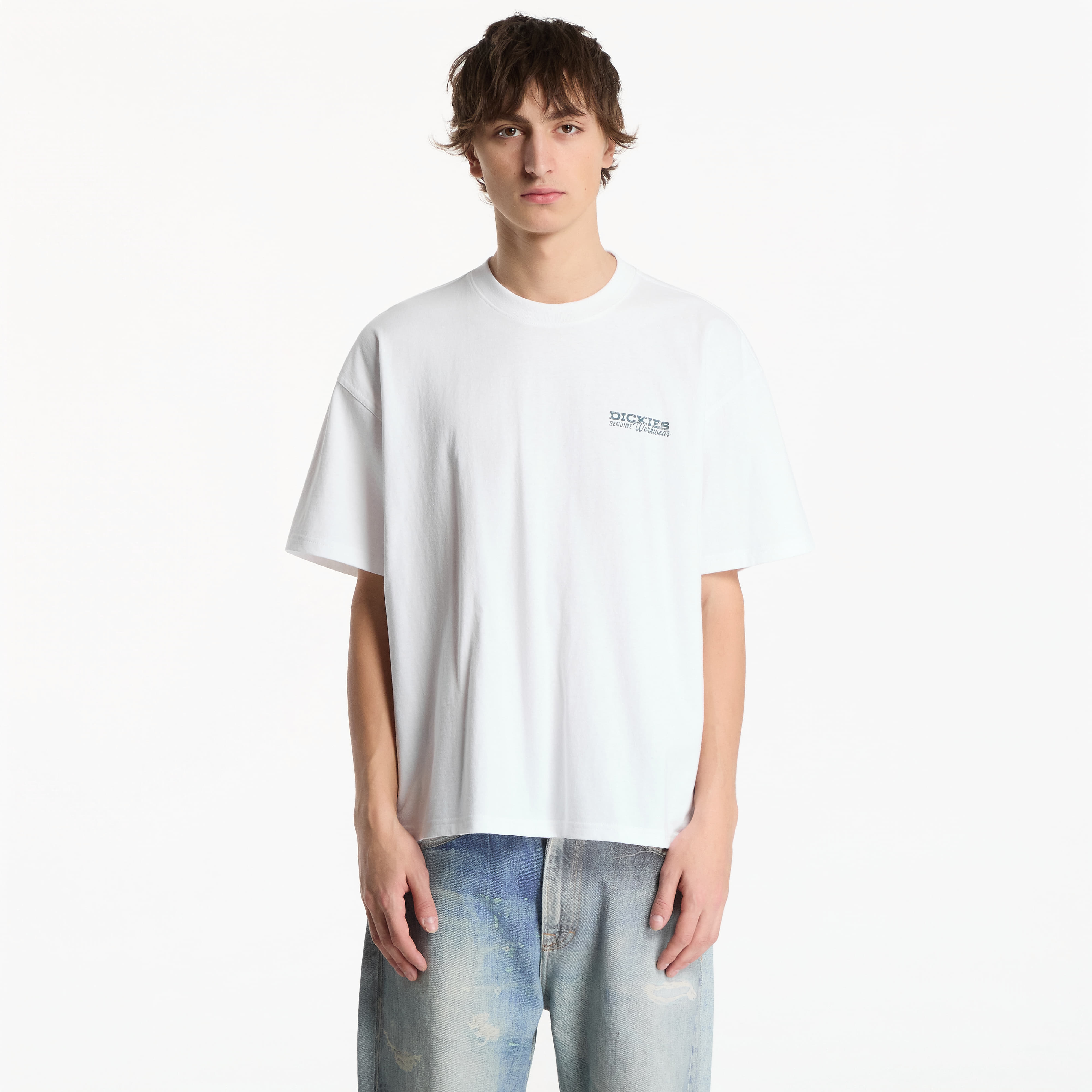 T-shirt Dickies Avondale SS Tee White XL