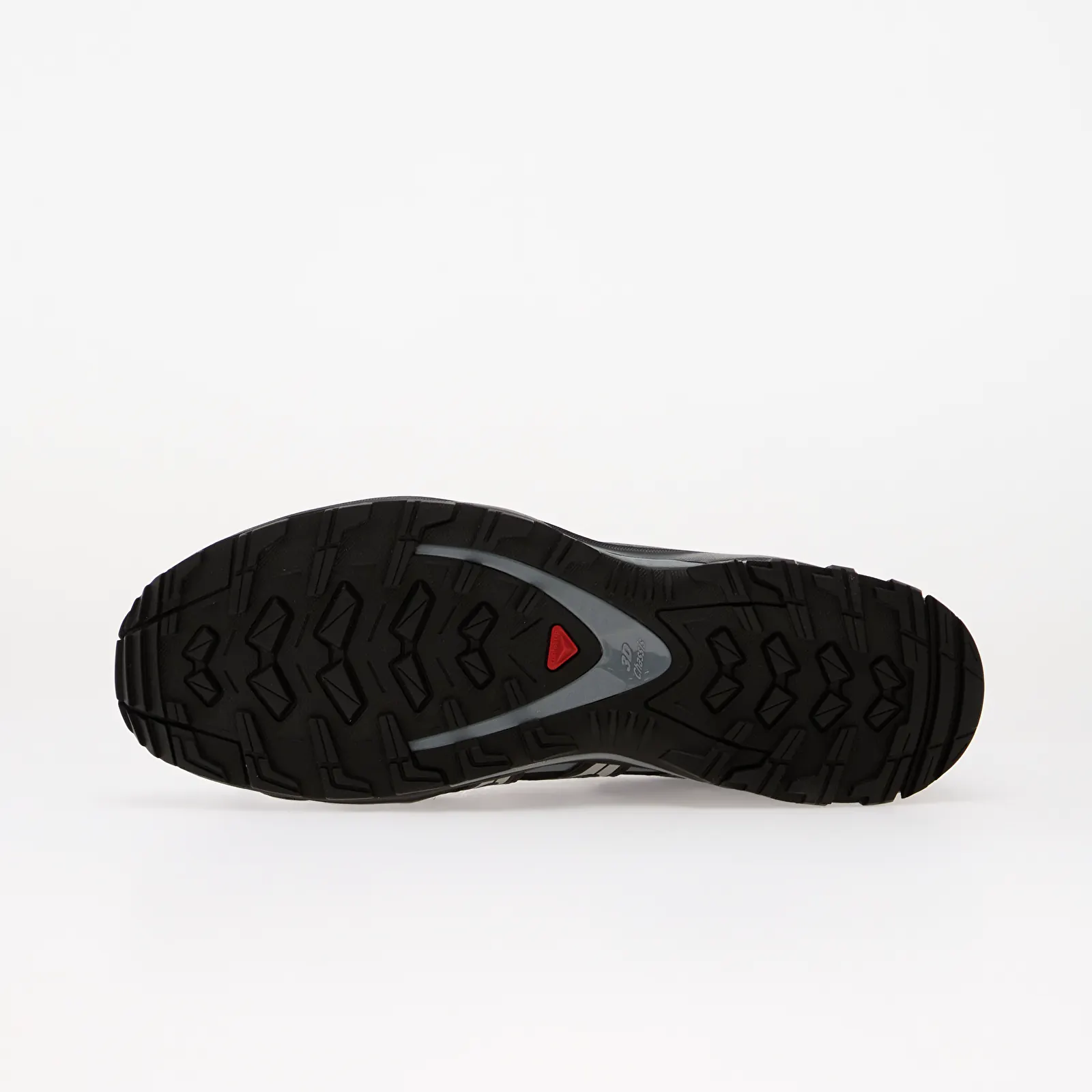 Men's shoes Salomon XA Pro 3D GTX Black/ Tradewinds/ Black Coffee