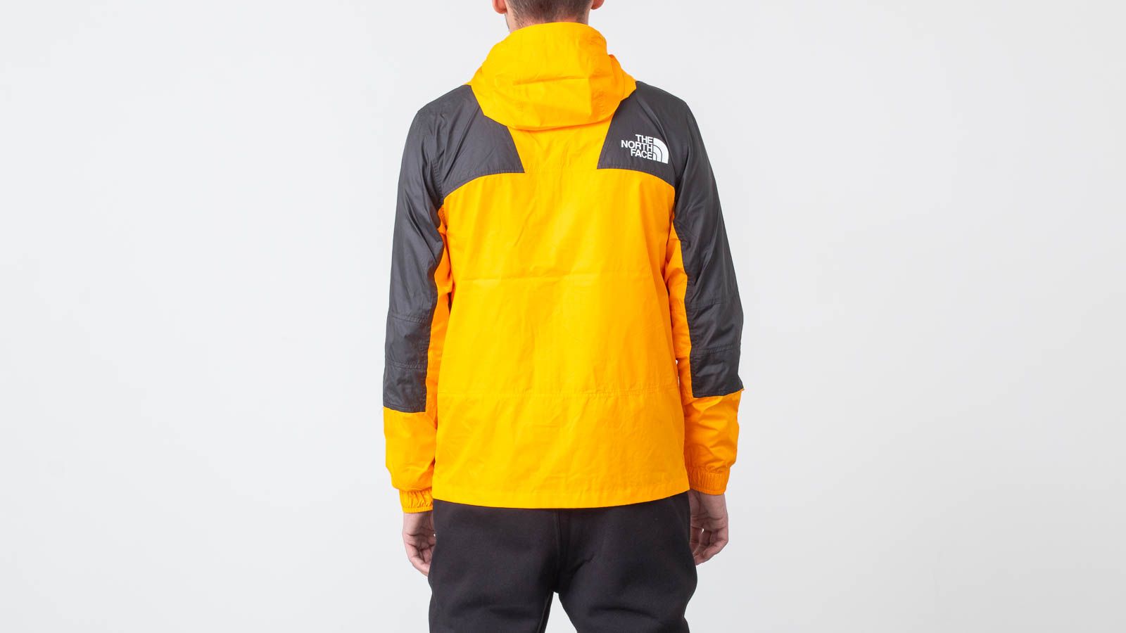 The north new arrivals face zinnia orange