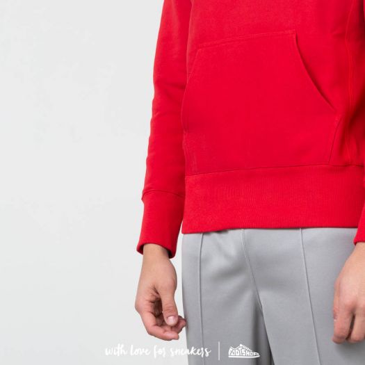 Champion sweater for cheap zara top