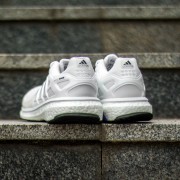 Energy boost esm m 2025