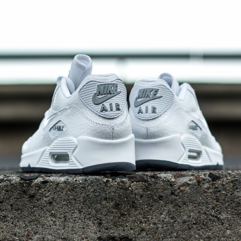 Women's shoes Wmns Nike Air Max 90 Premium White