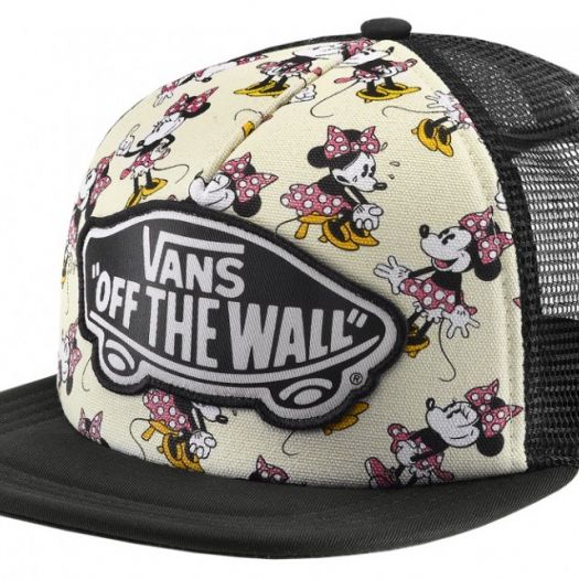 Casquette sales disney vans