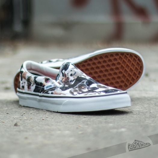 Aspca vans dogs clearance