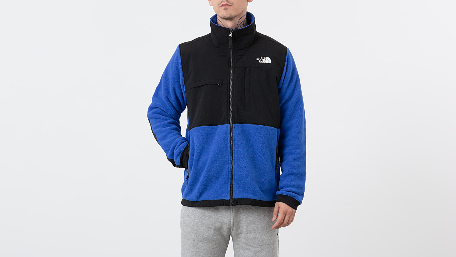 THE NORTH FACE Denali Fleece Jacket - Men's Recycled Cosmic Blue/Cosmic  Blue, S at  Men's Clothing store