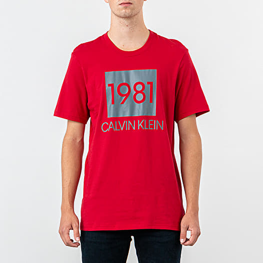 Calvin klein 1981 t shirt store