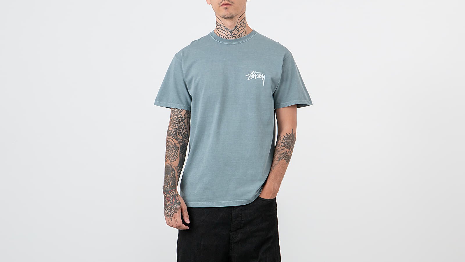 T-shirts Stüssy Daydream Pig. Dyed Tee Slate