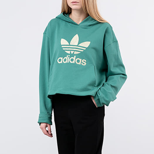 Hoodies en truien adidas Logo Hoodie Future Hydro F10 Footshop