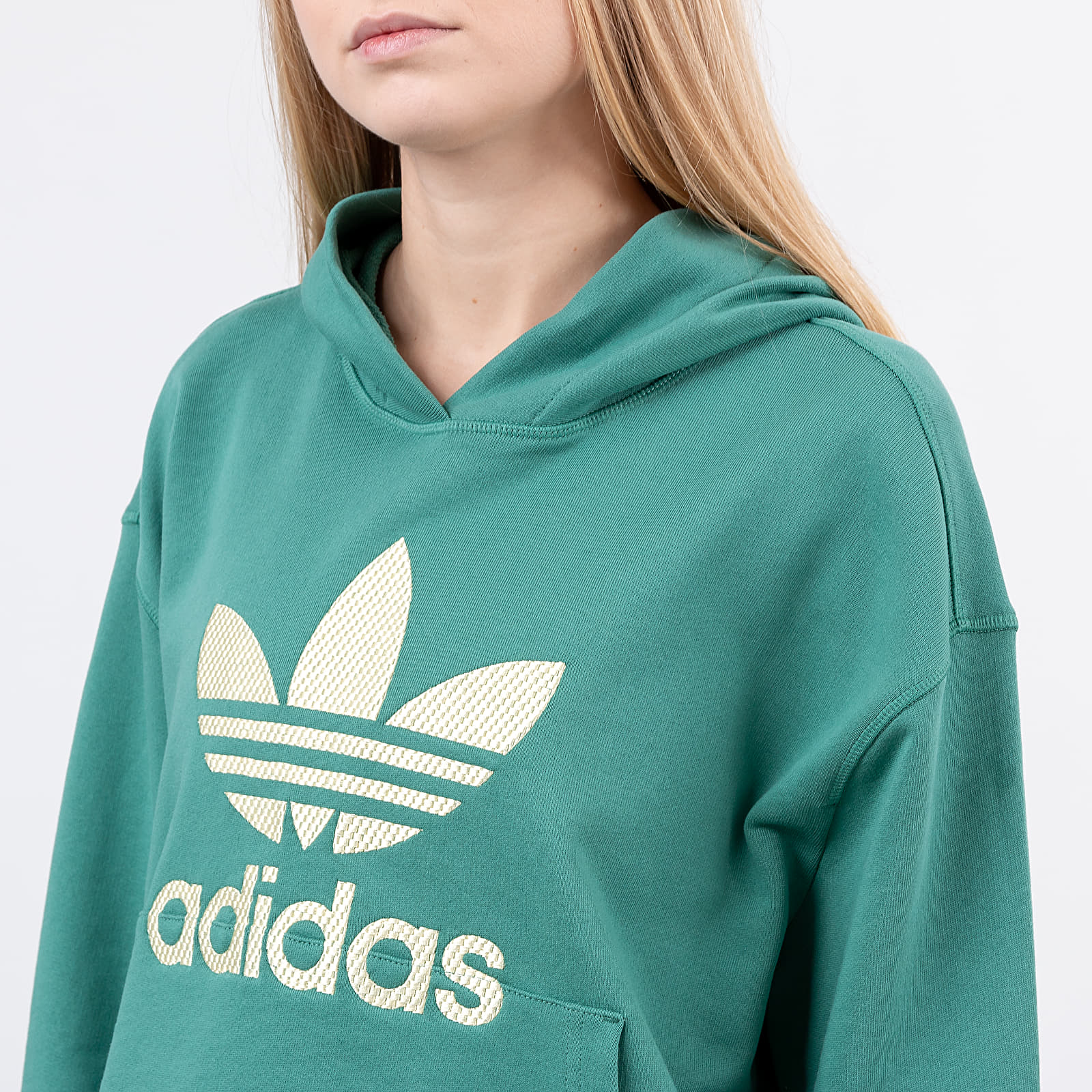 Hoodies and sweatshirts adidas Logo Hoodie Future Hydro F10 Footshop