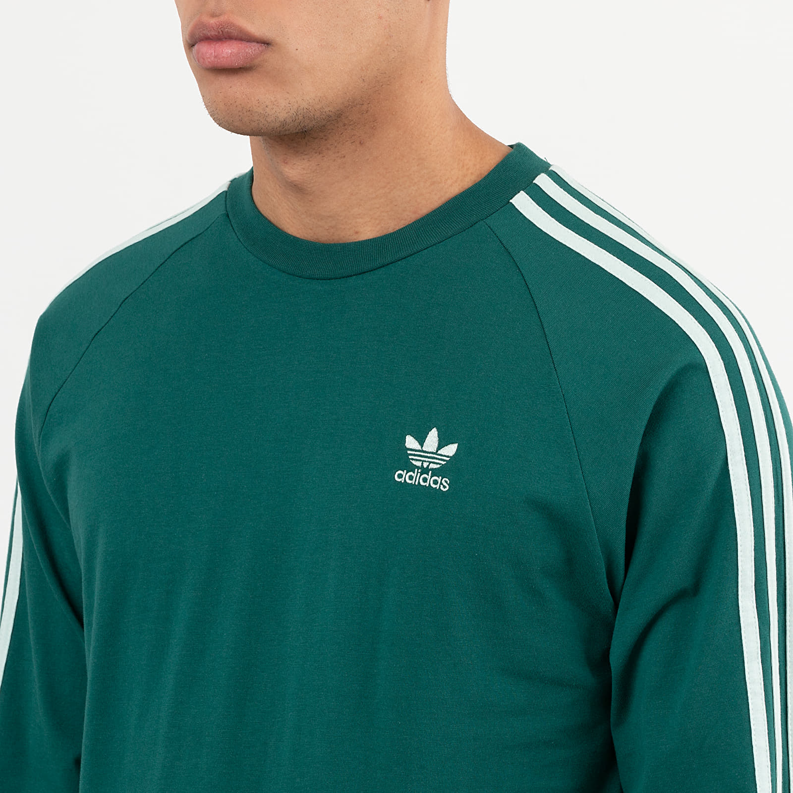 T-shirts adidas 3-Stripes Tee Noble Green/ Vapor Green