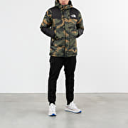North face discount deptford down jacket