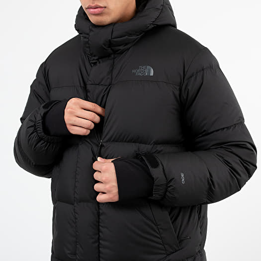 The north face vistaview online
