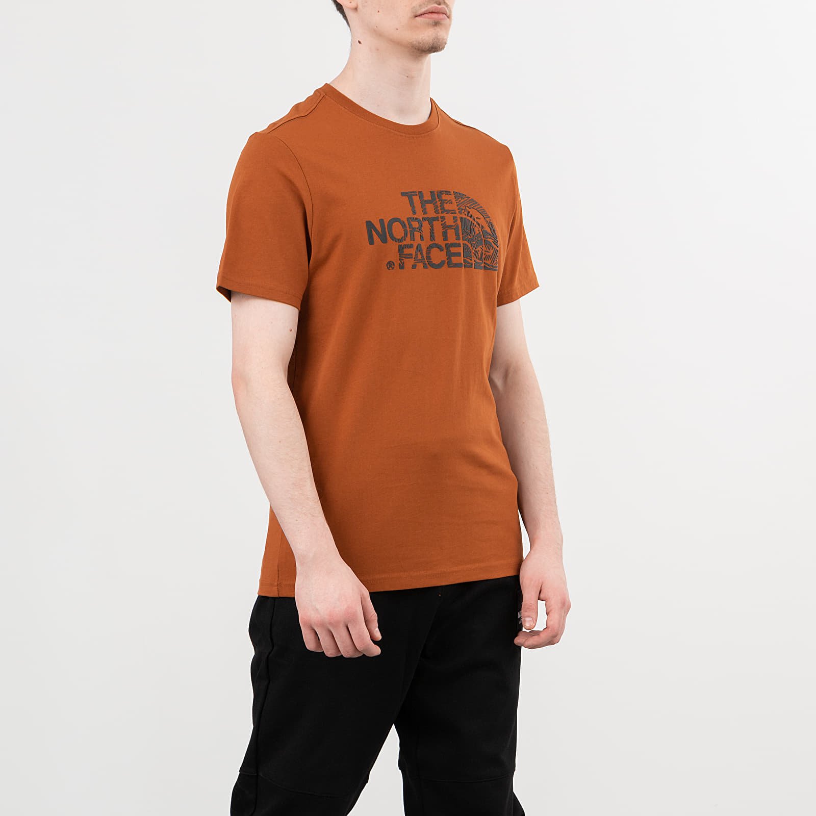 Vyriški drabužiai The North Face Wood Dome Tee Caramel Cafe