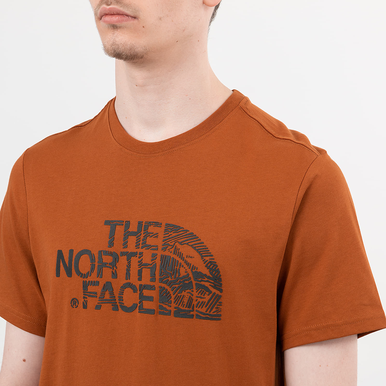 Vyriški drabužiai The North Face Wood Dome Tee Caramel Cafe