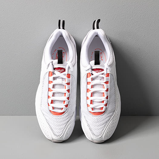 Daytona store dmx white