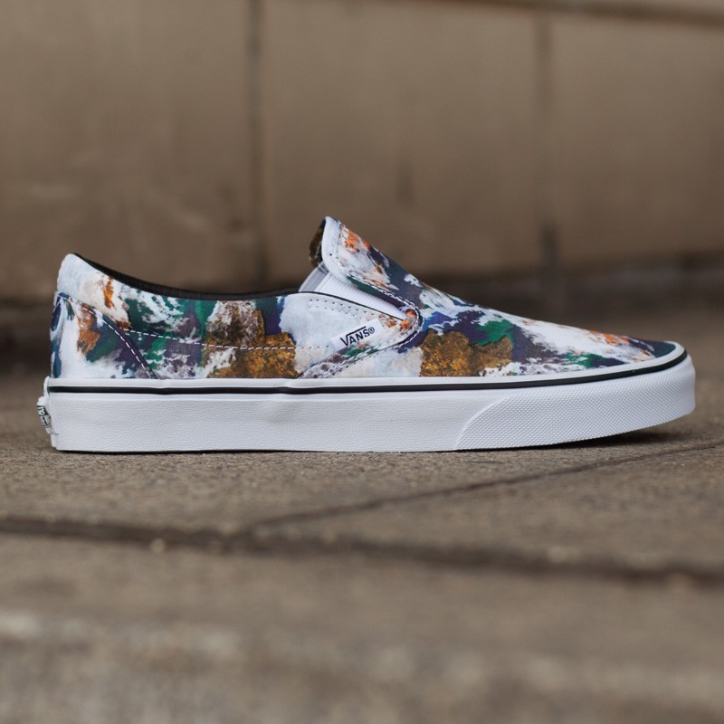 Vans slip on earth top