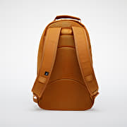 Jordan discount golden backpack