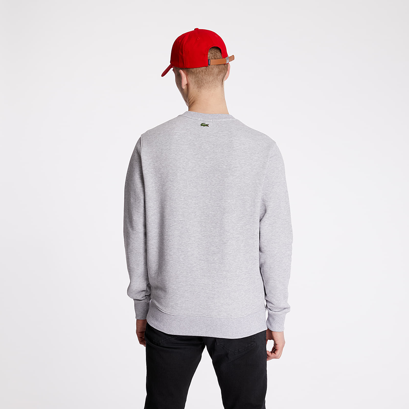 Sweatjacken und Sweatshirts LACOSTE LIVE Crewneck Grey