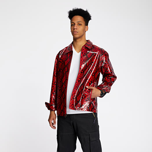 Snakeskin windbreaker clearance