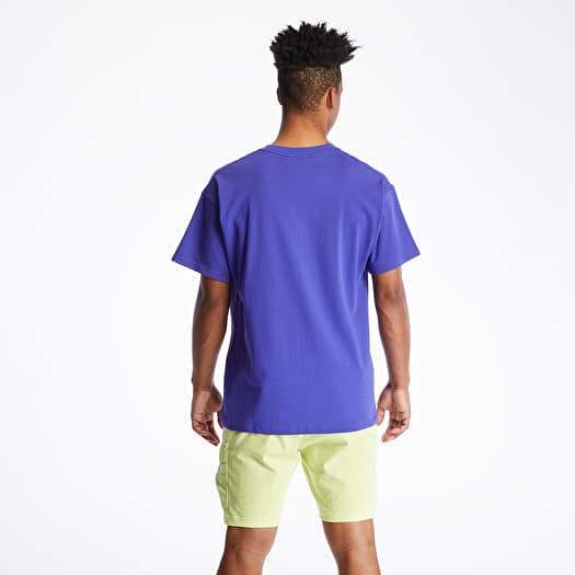 国内配送 NIKE SPORTSWEAR ACG TEE NIGHT PURPLE T-shirts Nike ACG Logo Tee Purple | Footshop