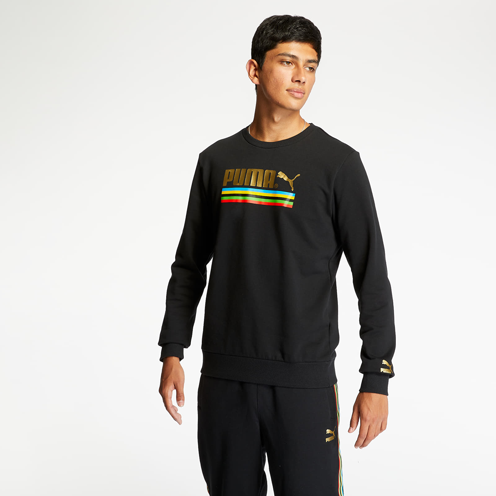 Puma tfs sweatshirt online