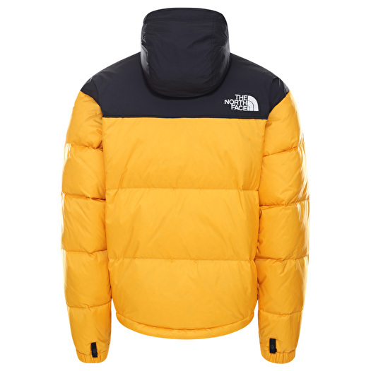 Gold nuptse store jacket