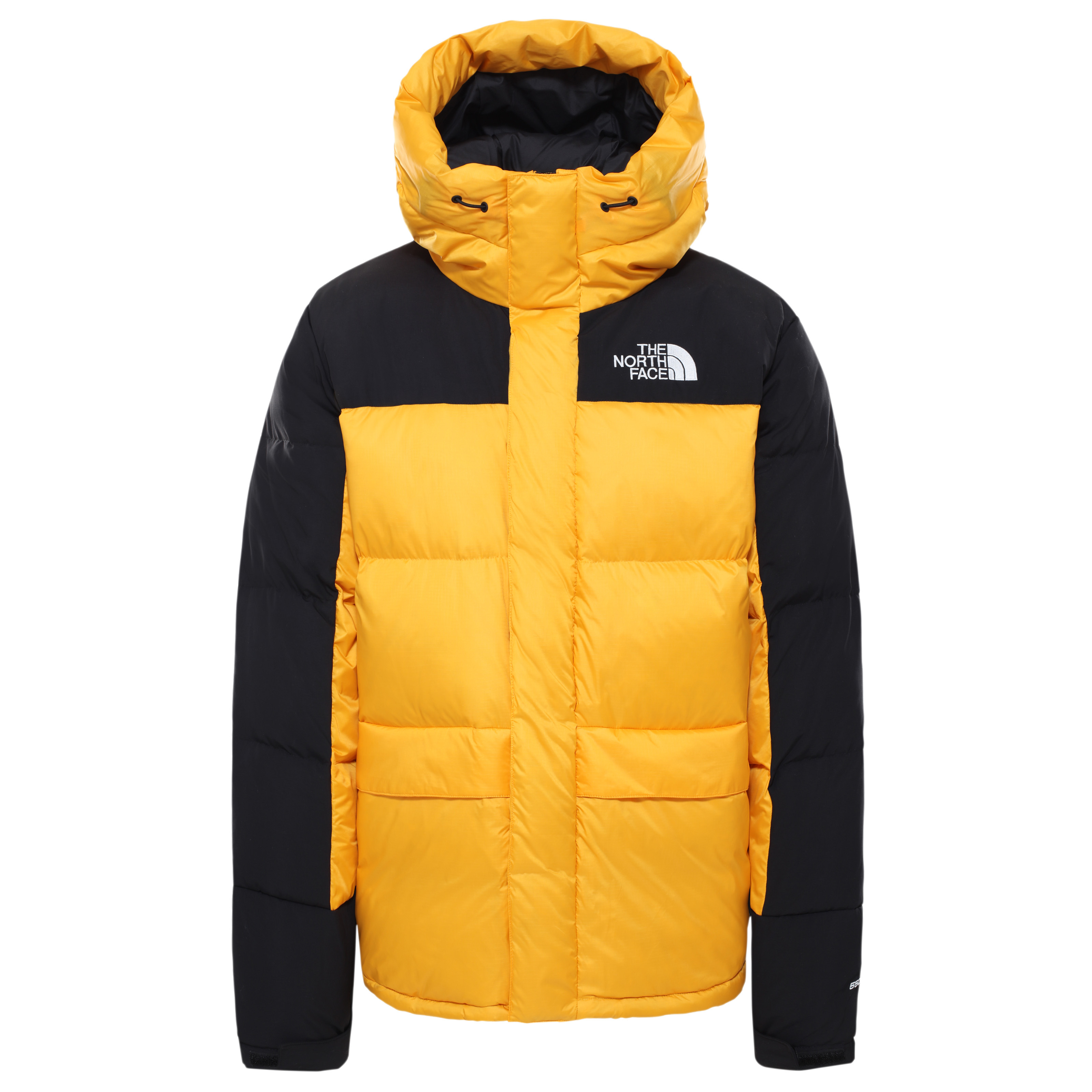 North Face Hmlyn Down Parka