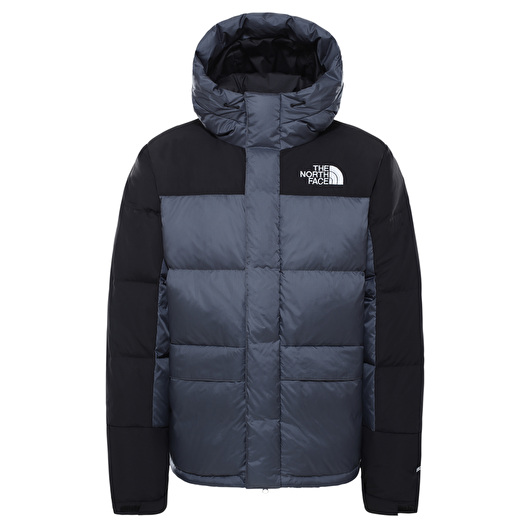 The North Face Men's Hmlyn Down Parka  Mens parka, The north face, North  face mens