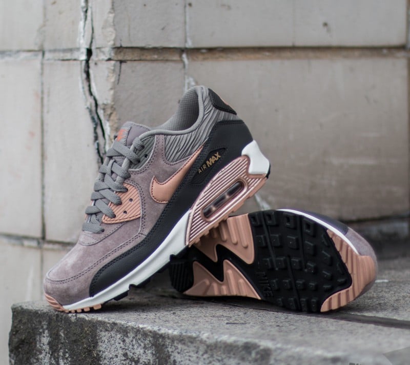 Moteriška avalynė Nike Wmns Air Max 90 Leather Iron/ Metallic Red Bronz- Dark Storm