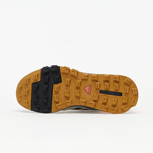 Fw0388 2025