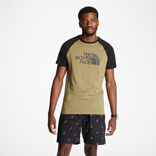 The north face discount raglan t shirt