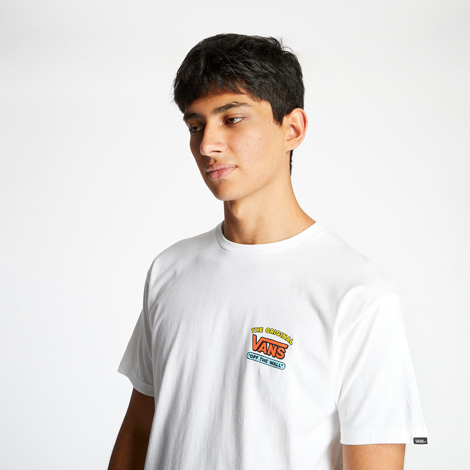Camisa best sale vans simpsons