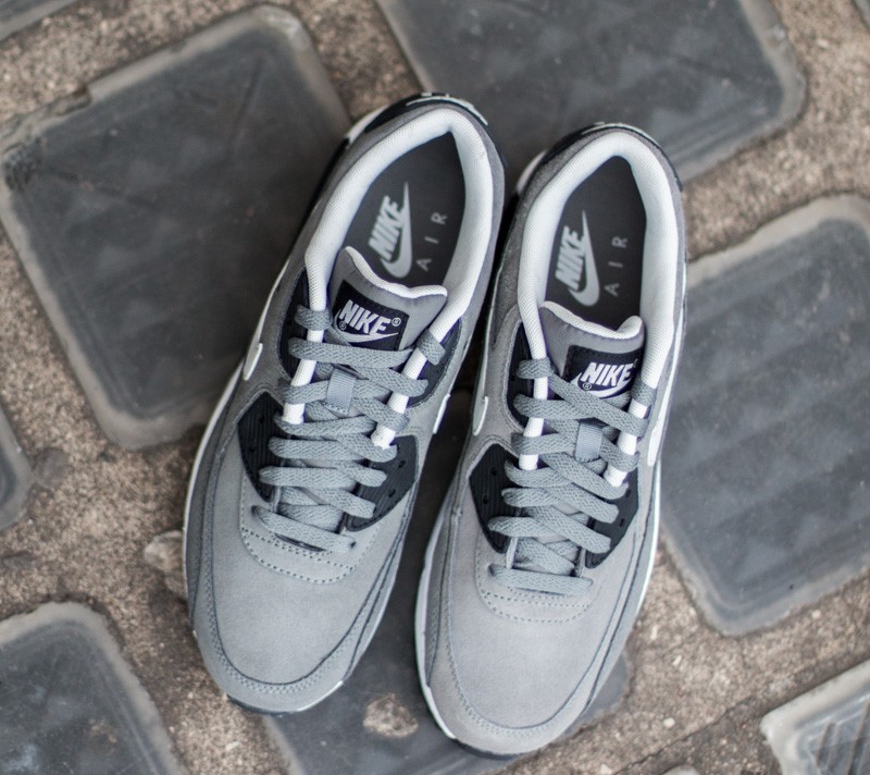 Buty męskie Nike Air Max 90 LTR Tmlbd Grey/ Night Silver-Black-White