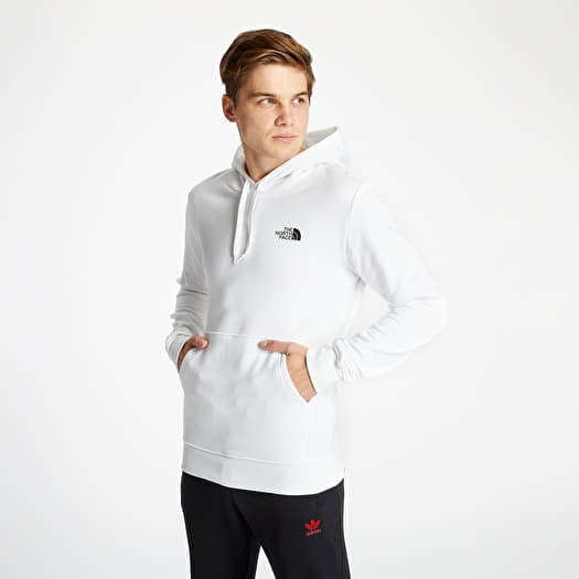 The north face geodome hoodie store