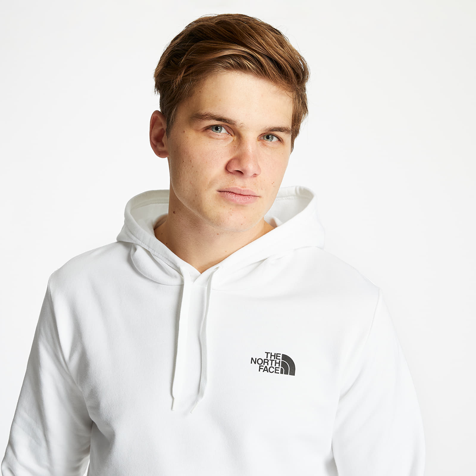 The north face geodome hoodie store