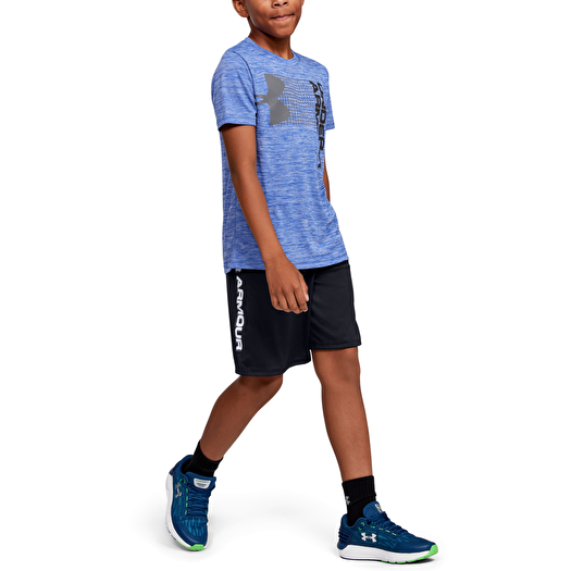 Shorts Under Armour Prototype Wordmark Short Black Footshop