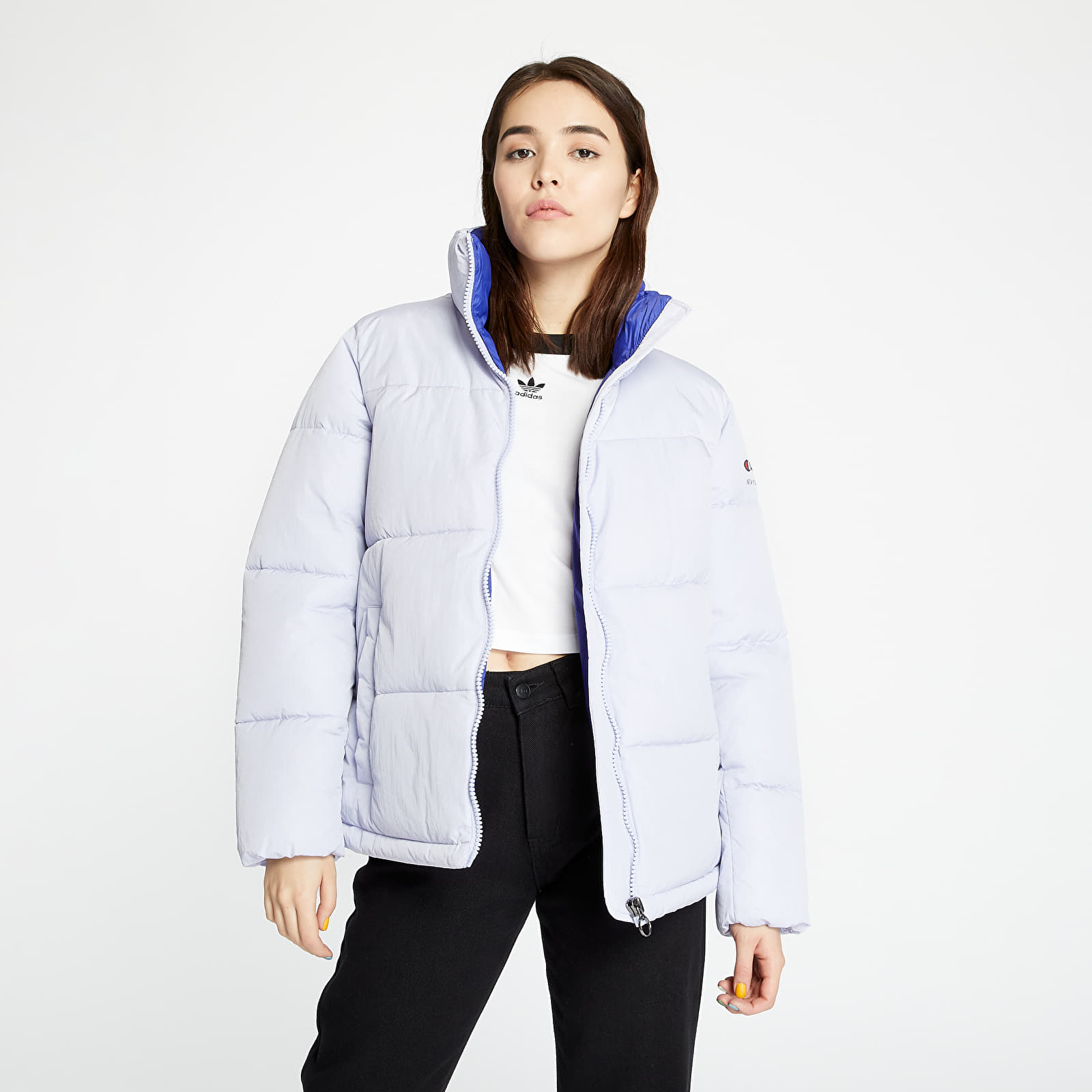 Puffy champion jacket best sale