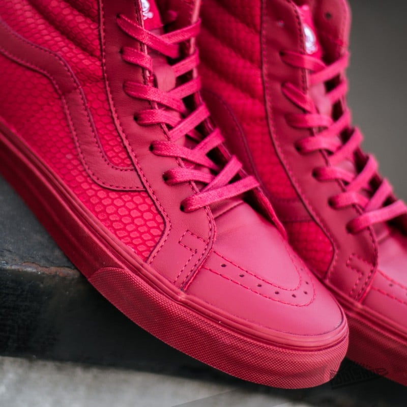 Vans sk8 hi snake top