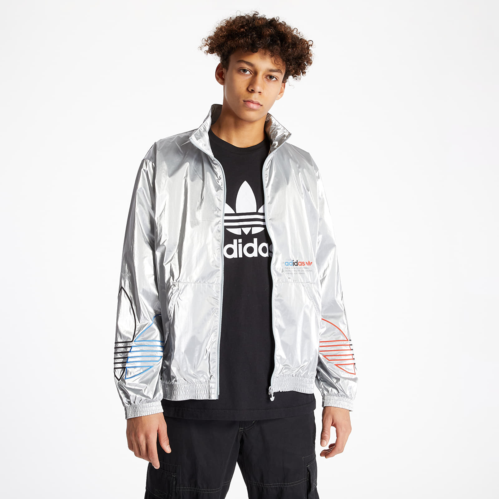 adidas Tricolor Tracktop Silver
