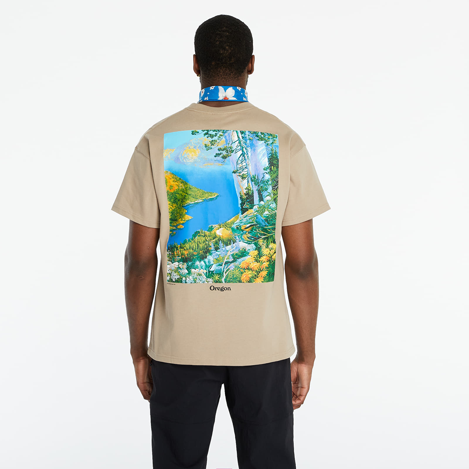 T-shirts Nike Nrg ACG Crater Lake Tee Khaki/ White