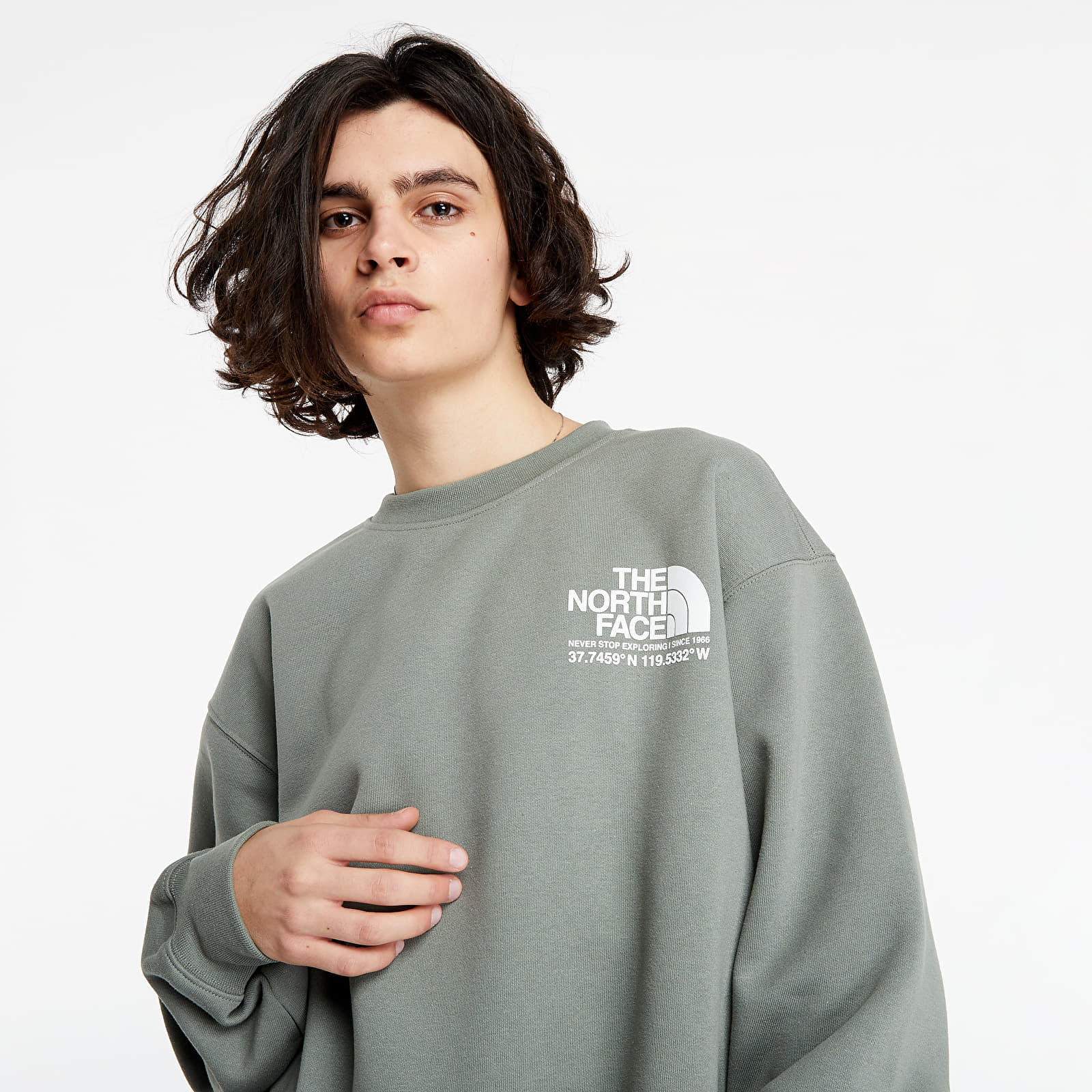 Hoodies and sweatshirts The North Face Coordinates Crew Agave