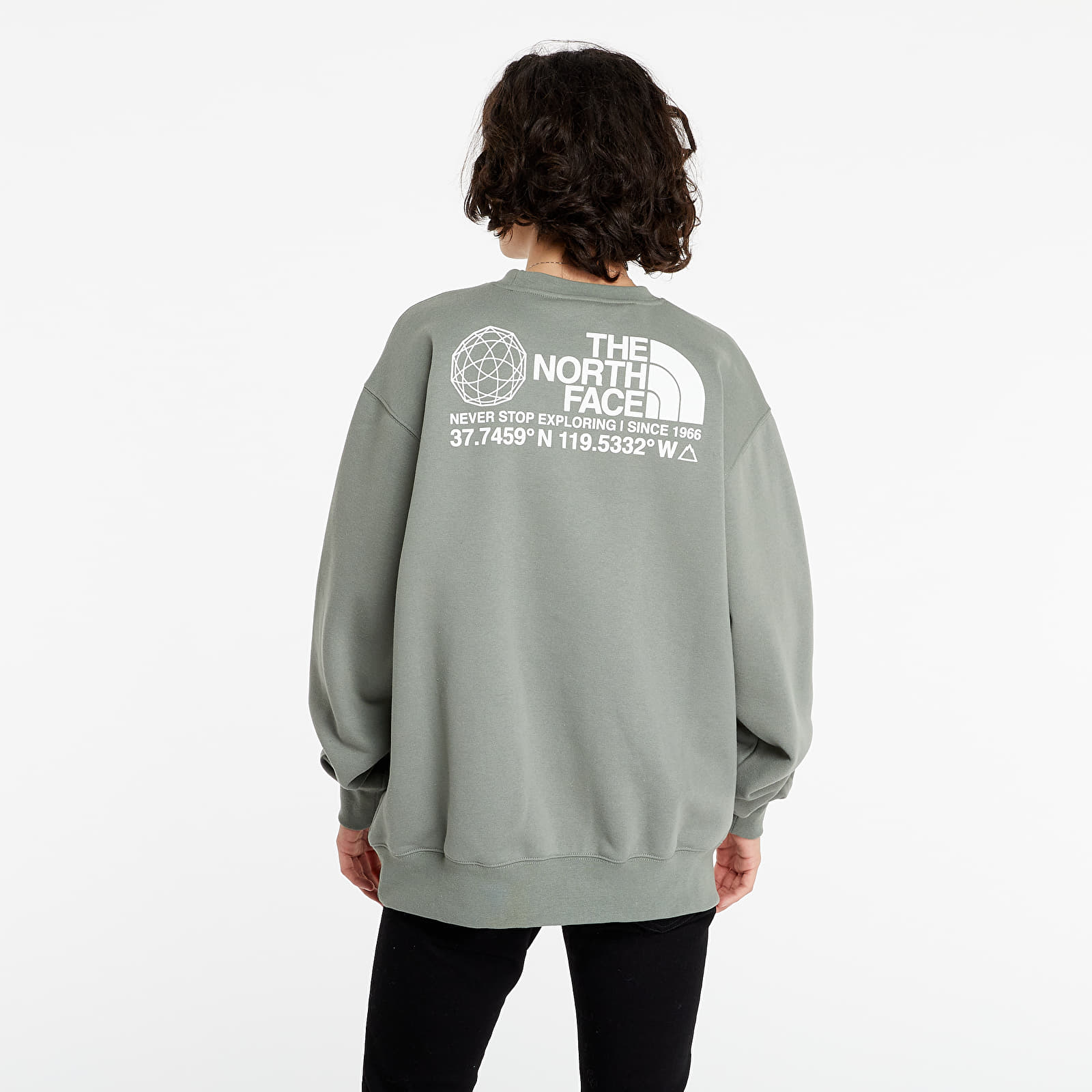 The north face best sale agave
