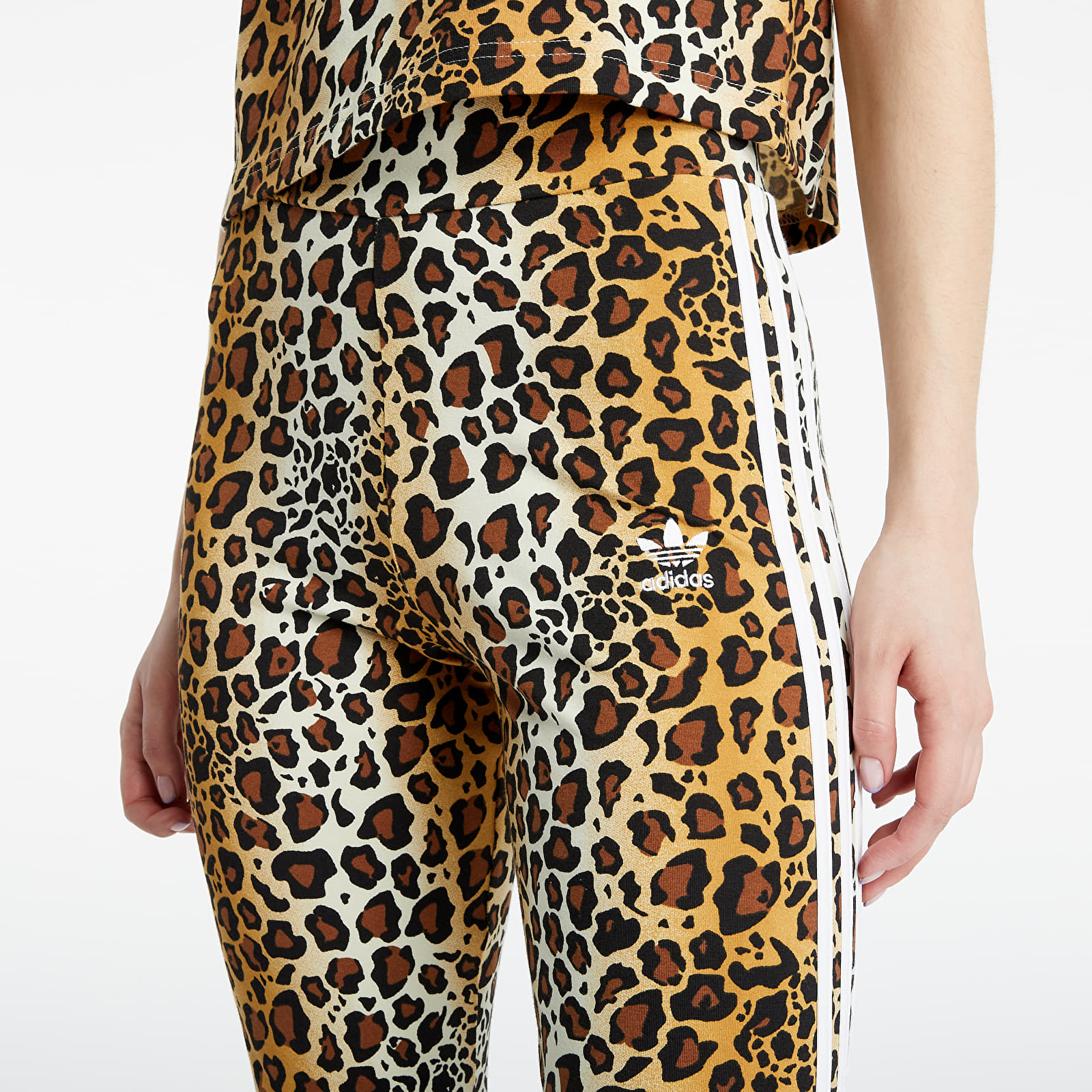 Hosen und Jeans adidas Tights Multicolor Footshop