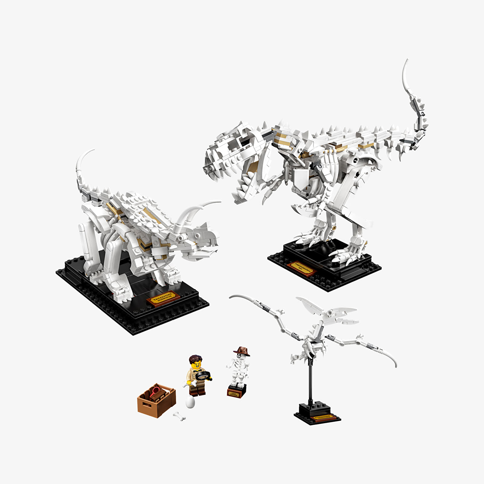 Kits LEGO® LEGO® Ideas 21320 Dinosaur Fossils