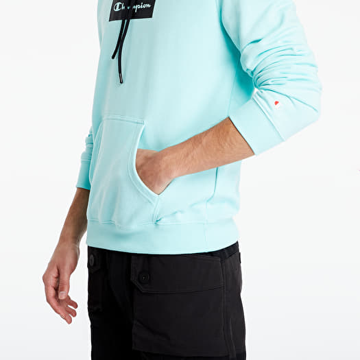 Pastel green champion hoodie store