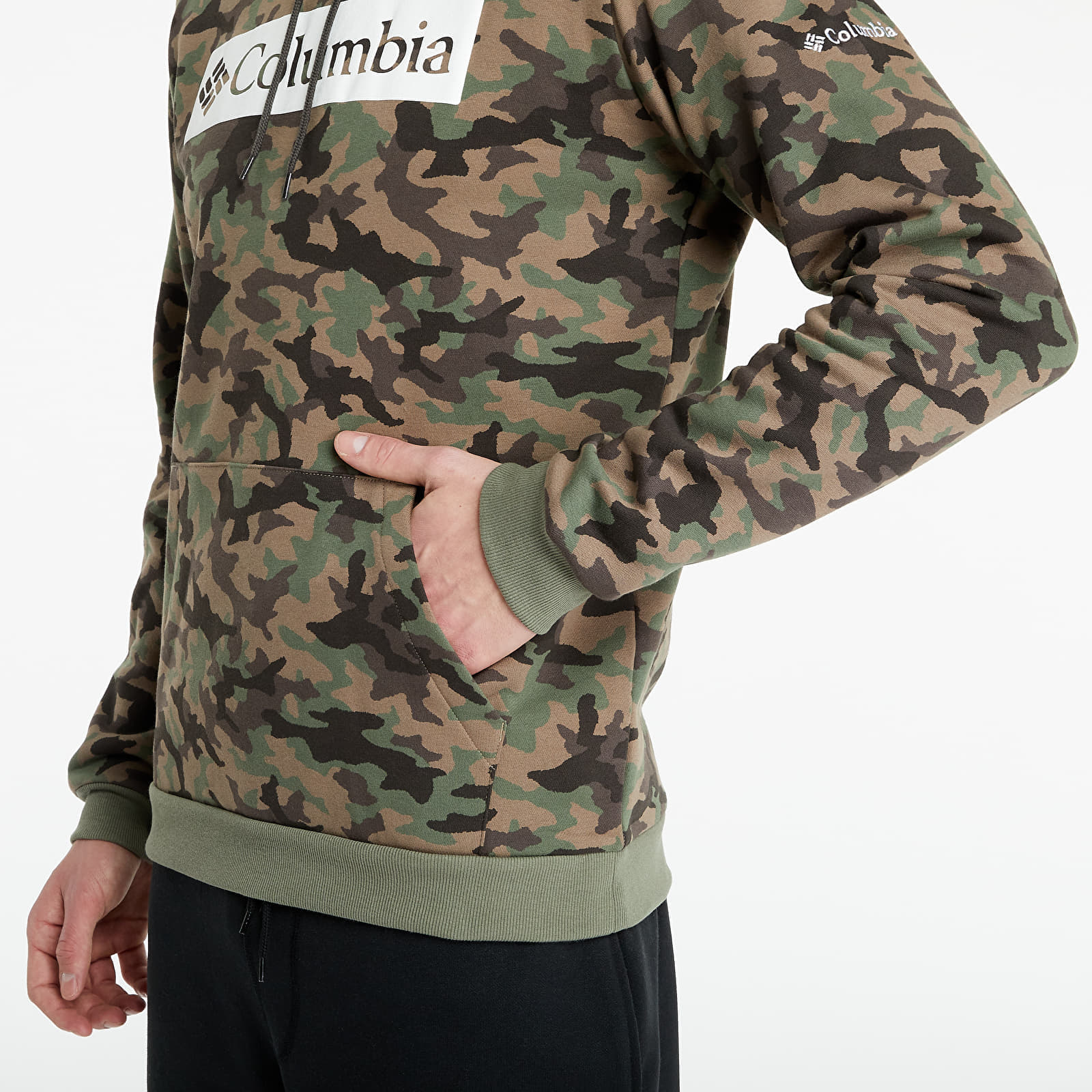Hoodies and sweatshirts Columbia Columbia Logo Printed Hoodie Cypress Camo Footshop